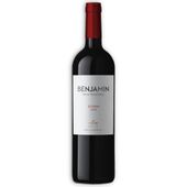 VINO BENJAM�N SYRAH 750ML