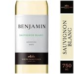 VINO-BENJAMIN-SAUVIGNON-BLANC-X-750-Ml-1-45104