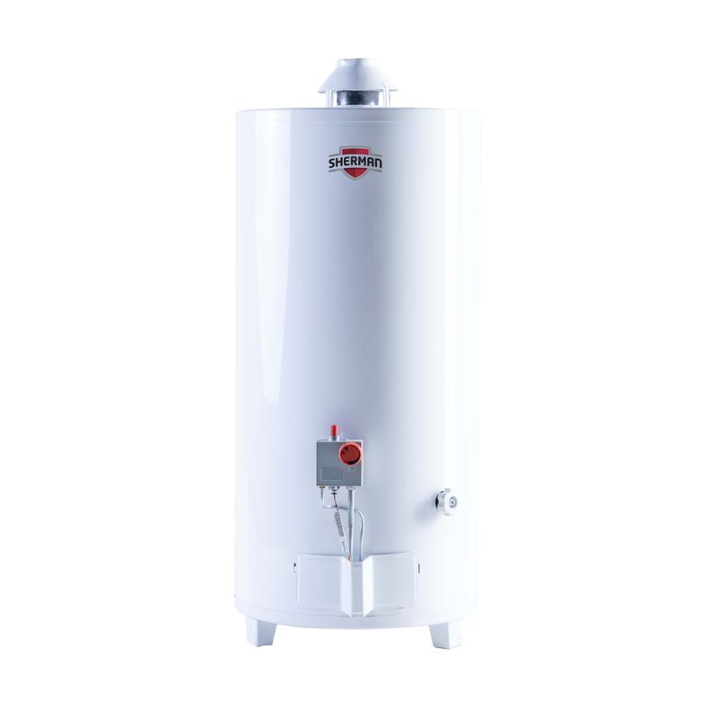 Termotanque-A-Gas-De-Pie-80-Litros-1-43738