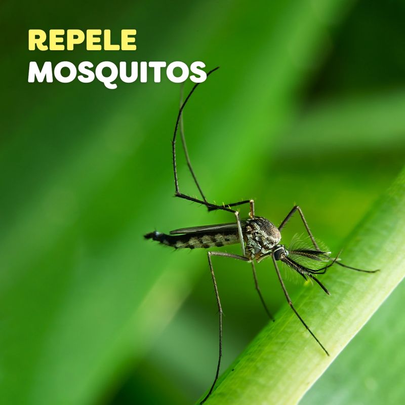 REPELENTE-DE-INSECTOS-OFF-SPRAY-ACTIVE-X-177-Ml-4-35814