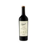 VINO-CAFAYATE-TERROIR-DE-ALTURA-CABERNET-SAUVIGNON-X-750-ML-1-53873