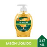 JAB-N-L-QUIDO-PALMOLIVE-NATURALS-MANDARINA-X-221-ML-1-50821