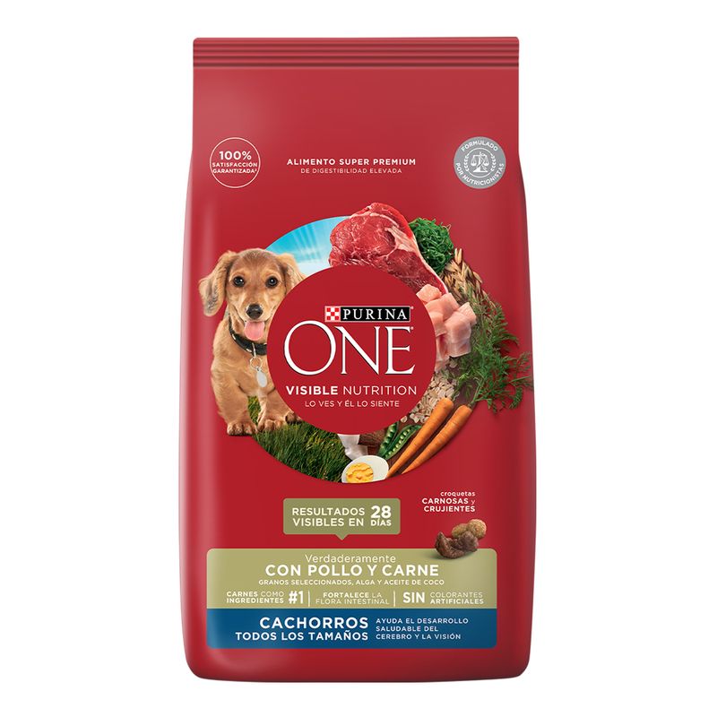 ALIMENTO-PARA-PERROS-PURINA-ONE-CACHORRO-POLLO-Y-CARNE-6-KG-2-13856