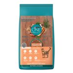 ALIMENTO-PARA-GATOS-PURINA-ONE-GATO-ESTERIL-SABOR-POLLO-Y-SALMON-2-KG-3-13857