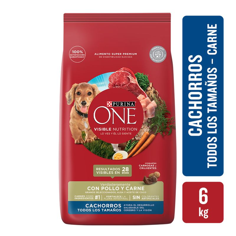 ALIMENTO-PARA-PERROS-PURINA-ONE-CACHORRO-POLLO-Y-CARNE-6-KG-1-13856