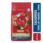 ALIMENTO-PARA-PERROS-PURINA-ONE-CACHORRO-POLLO-Y-CARNE-2-KG-1-13755