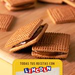 Galletitas-Lincoln-Cl-sicas-Terrabusi-459g-Galletitas-Lincoln-Cl-sicas-Terrabusi-459g-3-47046