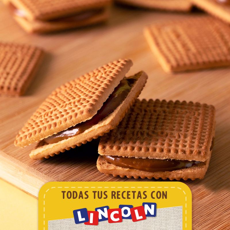 Galletitas-Lincoln-Cl-sicas-Terrabusi-219g-3-43548