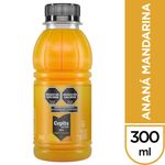 CEPITA-DEL-VALLE-MIX-ANAN-MANDARINA-300-ML-1-57829