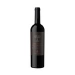 VINO-TINTO-LOTE-NEGRO-MALBEC-CABERNET-FRANC-EN-BOTELLA-750-CC-1-42304