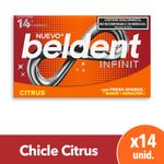 CHICLE-BELDENT-INFINIT-CITRUS-X-14-U-1-22010