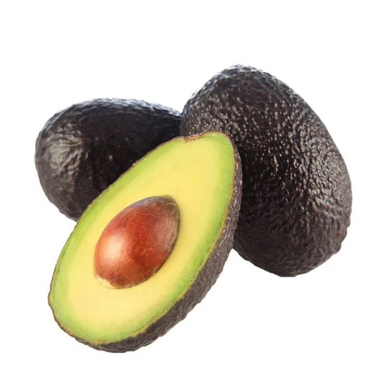 PALTA-HASS-XUN-1-56963