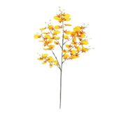 RAMO ORQUIDEA