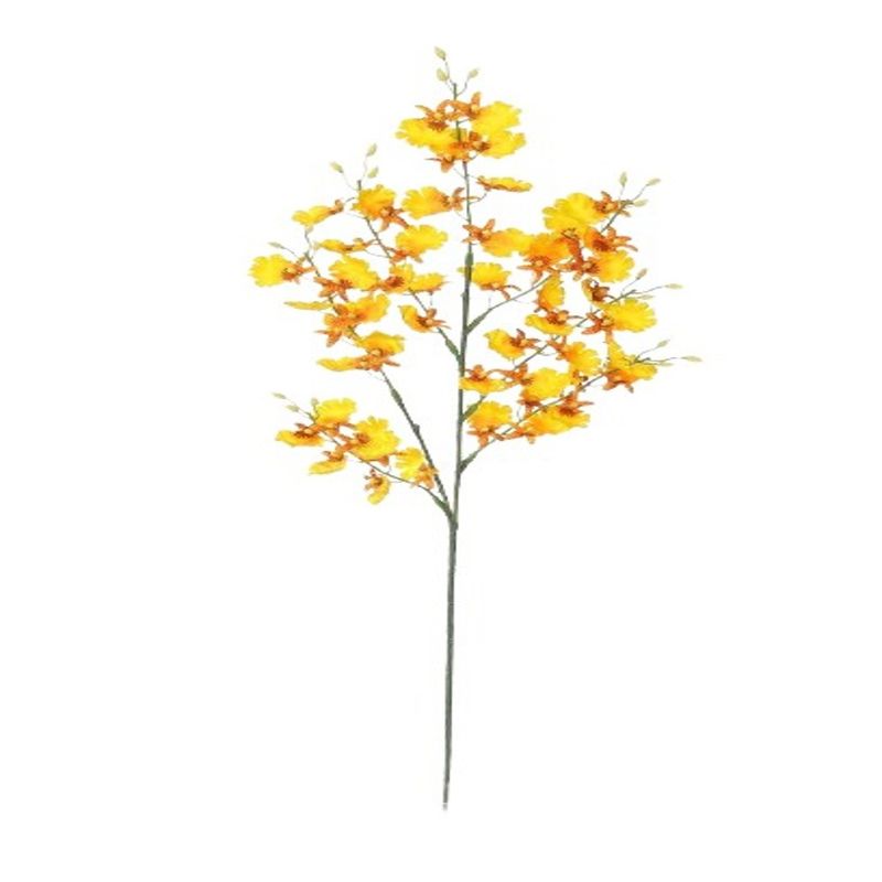 RAMO-ORQUIDEA-1-3892