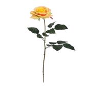 ROSA 66CM PS016526PT.