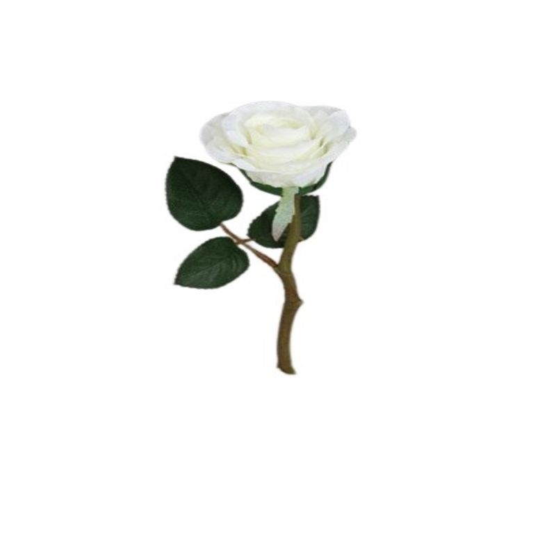 ROSA-30-CM-EC38809-1-17057