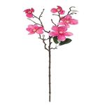 MAGNOLIA-66-CM-EC38811-1-17046