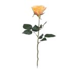 ROSA-58CM-PS016535PT-1-11200