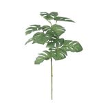 RAMA-MONSTERA-1-61728
