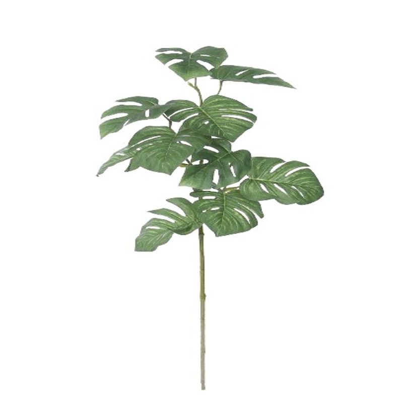 RAMA-MONSTERA-1-61728