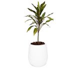 Maceta-Uovo-chico-individual-blanco-34-x-31-cm-1-48340