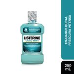 ENJUAGUE-BUCAL-LISTERINE-COOL-MINT-SUAVE-X-250-ML-1-48097