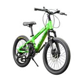 BICI MOUTAIN BIKE HEAD 20" VERDE