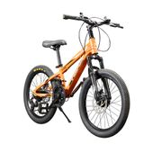 BICI MTN BIKE HEAD 20" NARANJ