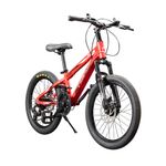 BICI-MOUNTAIN-BIKE-HEAD-20-ROJO-1-65359