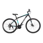 BICI-MOUNTAIN-BIKE-HEAD-29-N-A-1-65354