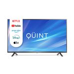 TV-QUINT-43-GOOGLE-TV-2-66315